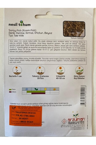 Kasımpatı Çiçek Tohumu SaraypatıKasım Patı 50 Adet