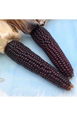 Ata Tohum Geleneksel Japonica Striped Mısır Tohumu 10 Tohum