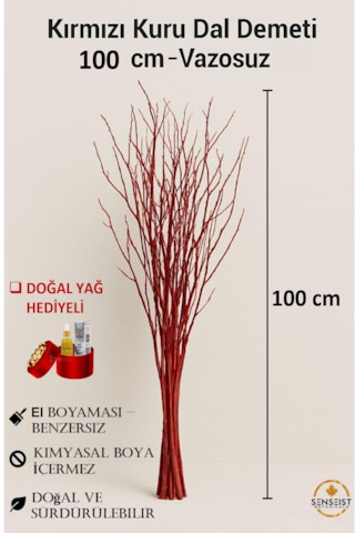 Gerçek Kurutulmuş Ağaç Dal Demeti Kırmızı El Boyaması 100 Cm