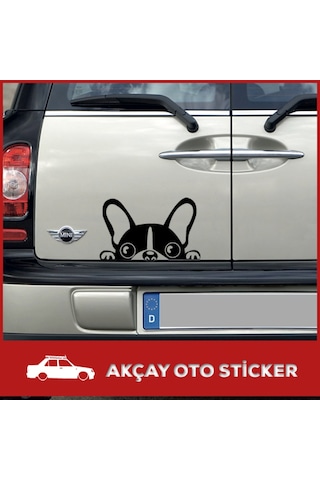 Arkadan Bakan Göz Sticker Bakan Köpek Sticker Oto Sticker