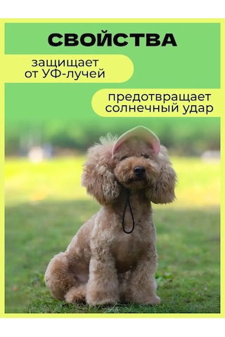 Küçük Ve Orta Irk Köpekler İçin Şapka / Köpek Şapkası 170106808