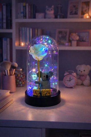 Fanus İçinde Koala Ve Gül Figürlü İyi Ki Varsın Yazılı Peri Led Yıl Dönümü, Doğum Günü Hediyesi Gold Gri