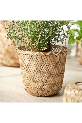 Bambu Saksı, Bambu, 15 Cm 15 Cmx28 Cm 1 Kg