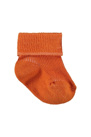 Civil Baby Classic Kıvrık 3'lü 6- Bebek Erkek Çorap Set - Standart 18 Ay Çok Renkli