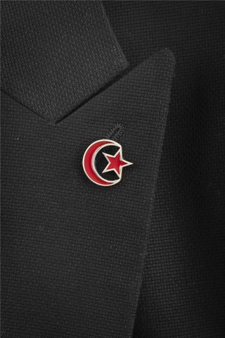 925 Ayar Gümüş Ayyıldız Mineli Rozet -8064 Gümüş