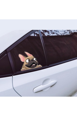 Sekiz Çizgi Film Köpek Yavrusu Araba Çıkartması Çok Renkli