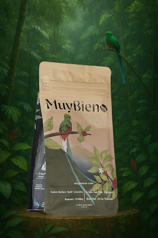MuyBieno Guatemala Huehuetenango Çekirdek Kahve 250 G