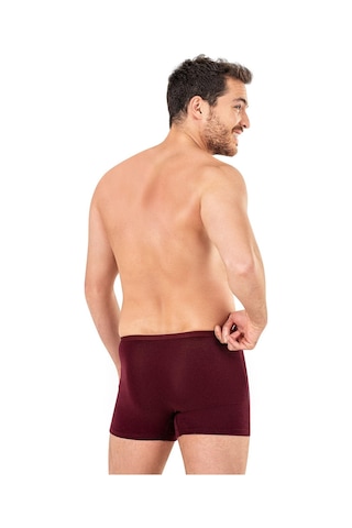 Kompedan Erkek Pamuklu Modal Boxer 11897-Bordo