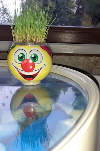 Emoji Çim Adam Tekli - 10 Adet