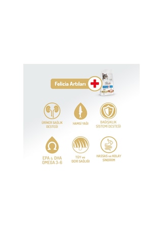 Felicia Derma Care Somonlu Yetişkin Kedi Maması 2kg X 2 Adet