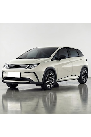 Byd Dolphin 2024+ Arka Cam Silecek Süpürgesi 20cm