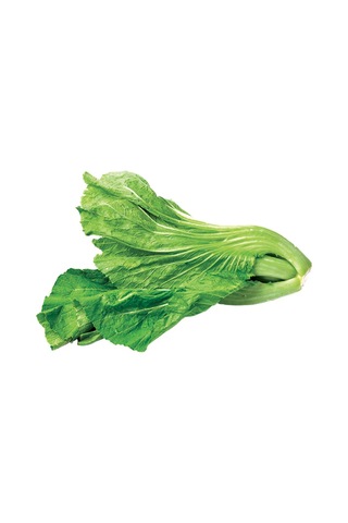 Çin Yaprak Lahana Choy Sum 25 Tohum + Tohum