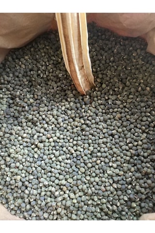 Sultani Bamya Tohumu 100 Adet