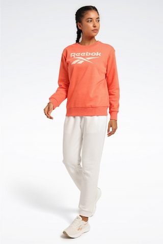 Reebok Rı Bl Fleece Crew Yavruağzı Kadın Sweatshirt Pembe