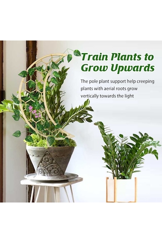 Jeehugo 3'lü Ahşap Bitki Tırmanma Aklı - Ev Bahçe Süs Bitkileri İçin Dayanıklı Tutucu, Kolay Kurulum, Çiçek Ve Saksı Bitkileri İçin Destek