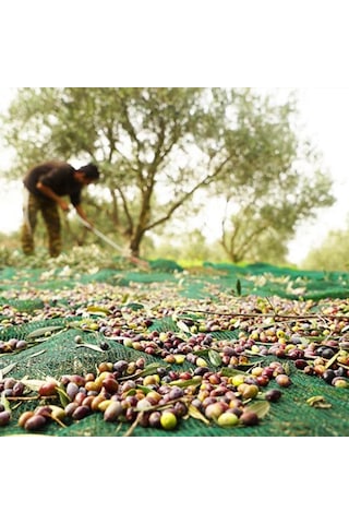 6x10 Metre Zeytin Sergisi Zeytin Toplama Filesi Fındık Fıstık Örtüsü Gölgelik Dut Meyve Sergisi Taban Örtüsü