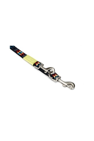 Beeztees Köpek Gezdirme Kayışı, Desenli, 200cm, 20mm Çok Renkli