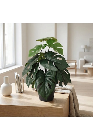 Koçtaş Yapay Bitki Monstera Çok Renkli