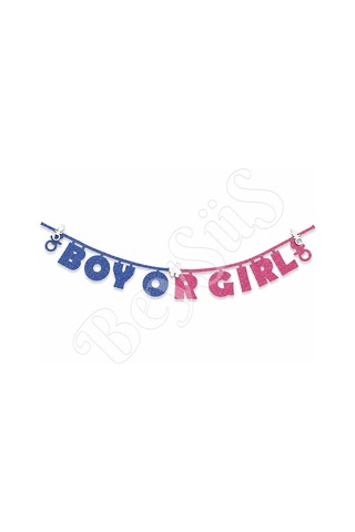 Girl Or Boy Eva Banner Pembe - Mavi Standart