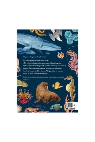 Oceanarium - Okyanus Müzesi Ansiklopedik Çocuk Kitabı