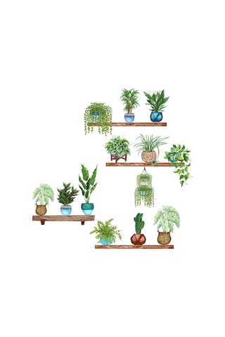 Raflı Saksılı Çiçek Tasarımlı Yapışkanlı Sticker 5060 Çok Renkli