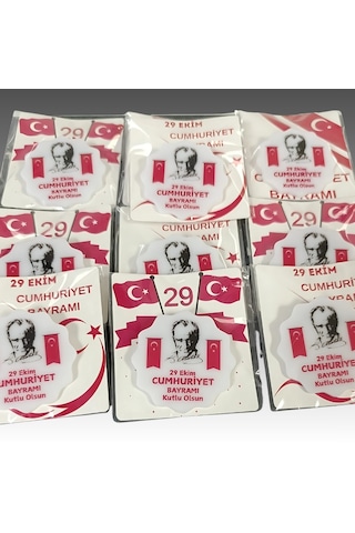 29 Ekim Cumhuriyet Bayramı İğneli Akrilik Yaka Rozeti 8 Adet Çok Renkli
