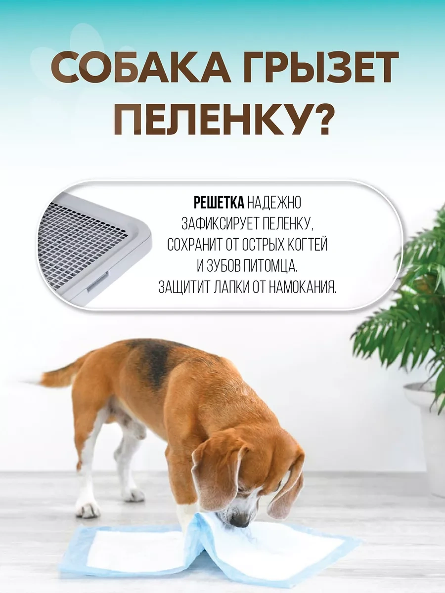 Pettails Köpekler İçin Sütunlu Ve Duvarlı Tuvalet Kutusu 51 41 27 Cm 243066905