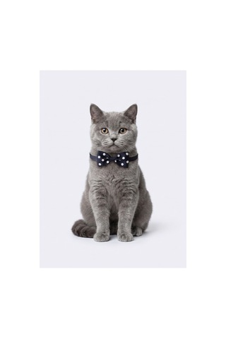 Kedi Köpek Papyonlu Tasma Serisi