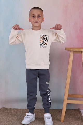 Lolliboomkids Erkek Çocuk Yeni Sezon Tiger Streight Baskılı 3 İplik Şardonlu Sırt Baskılı Takım Gri