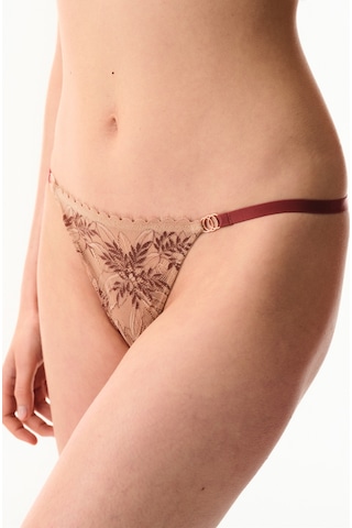 Penti Bej Lace Dantel Brazilian Külot