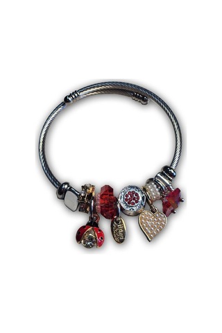 Uzel Çelik Gümüş Silver Model Inci Kalpli, Uğur Böceği Charmlı Çelik Bileklik Kırmızı