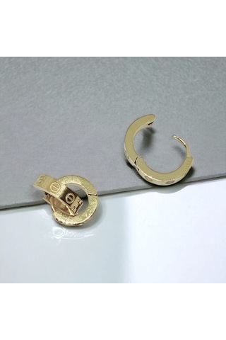 Kesebe Altın Renkli Çelik Desenli Küpe Çok Renkli