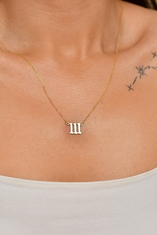 Erdobia Gold 111 Melek Sayısı Gümüş Sezgi Kolyesi N10194