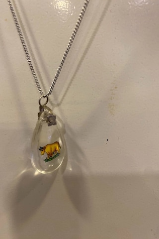 Feng Shui Bereket Şans Mutluluk Koruyucu Öküz Sembol Kolye Çin Takvimi Burç
