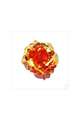 Sonsuzluk Gülü, 25 Cm X 8cm - Kırmızı