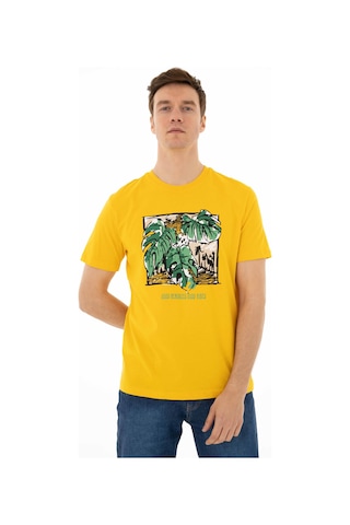 AR-MA Arma Erkek Regular Fit Bisiklet Yaka Tişört Y25344403501 Sarı