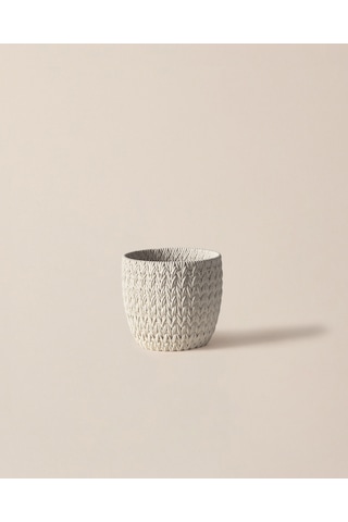 Madame Coco Dolly Saksı - Ekru - 16 Cm 8684427125205 Diğer