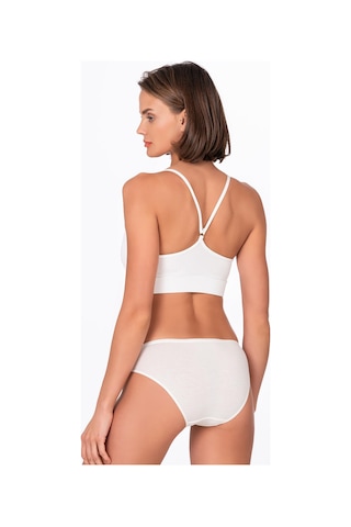 Kadın Modal Külot Ekru Kompedan K23924 Ekru