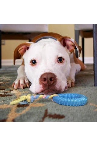 Dayanıklı Köpek Diş Kaşıyıcı Ve Çiğneme Oyuncağı
