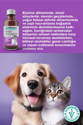 Mixtura Pharma Immun Sıvı