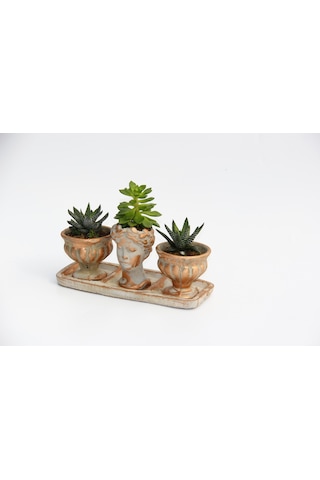 Trio Helen Orange Sukulent Seti - Haworthia Pumila. Echeveria