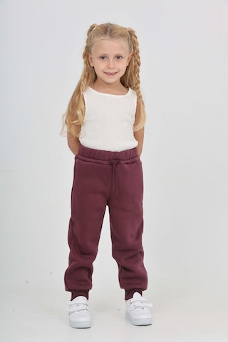 Toontoy Kız Çocuk Nakış Detaylı Eşofman Alt Mor