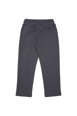 U.s. Polo Assn. Erkek Çocuk Antrasit Eşofman Altı 50298187-vr006 Antrasit