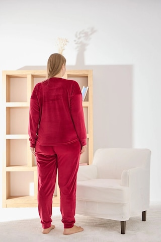 Pijamoni Kadın Yumuşak Kadife Bisiklet Yaka Vişne Pijama Takımı Vişne