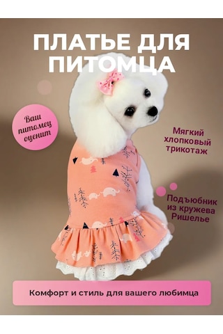Best Golden Monkey Köpekler İçin Mercan Elbise 171019675