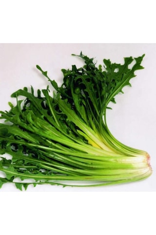 Süper Paket Nadir Hindiba Tohumu Hindibağı Tohumu 400 Adet Tohum