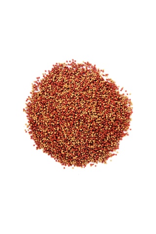 Tr Gold Mix Granulat 6x100ml Japon Balık Yemi Ve Vitamini