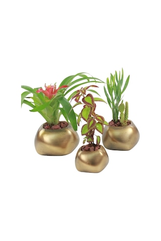 Saksı Çiçek Kaktüs Saksısı Lüx 14 Cm Elips Desenli 3'lü Set Çiçeklik - Altın Eskitme
