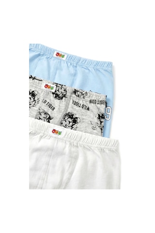 Öts Erkek Çocuk 3 Lü Pamuklu Boxer Baskılı Terletmez Doğal Yapı 7362-3 Renkli