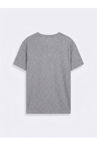 LTB Vintage Efektli Relaxed Fit Gri T-shırt
